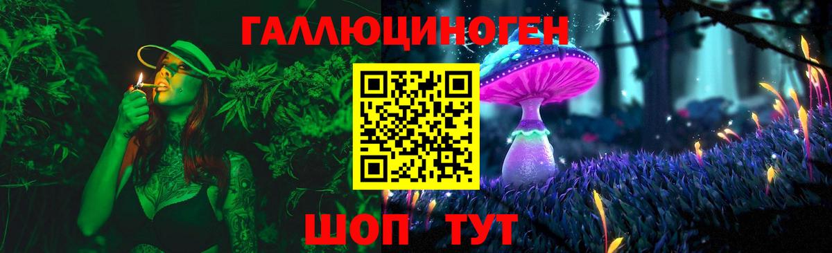 Псилоцибиновые грибы мицелий Чистополь